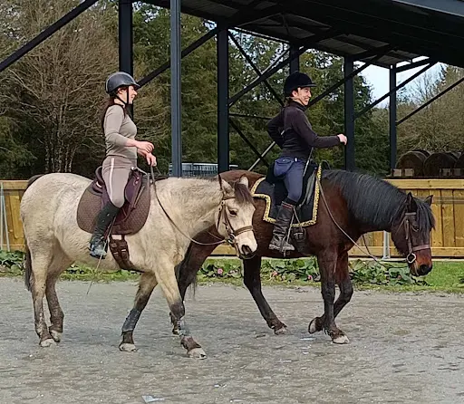Pension de Chevaux de la Grande Lande