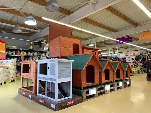 Animotopia Puppy Lannion
