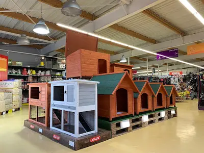 Animotopia Puppy Lannion