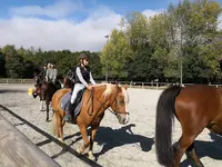 Lannion Equitation