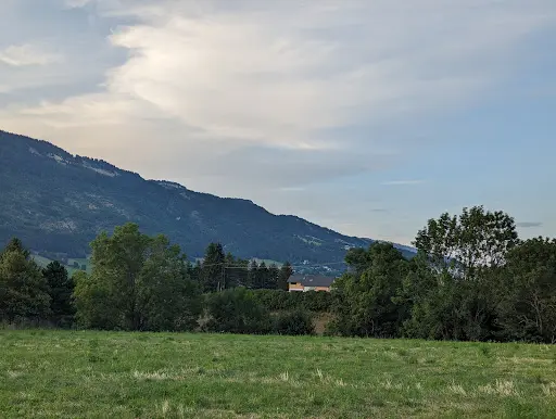 Cheval du Vercors