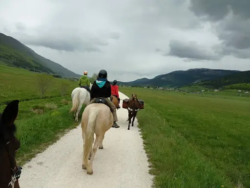 Randonnée et Balade À Cheval ~ Cap Cavale