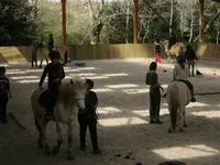Les Crinières de l'Ouest