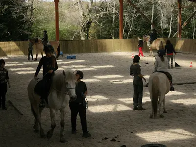 Les Crinières de l'Ouest