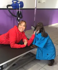 Salon de Toilettage. "nos Fidèles Compagnons" Gwénaelle Derriennic