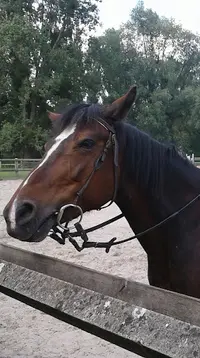 Club Hippique de Laon