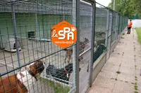 La Spa - Refuge de Laon