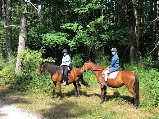 Les Chevaux du Clos de la Gardille