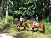 Les Chevaux du Clos de la Gardille