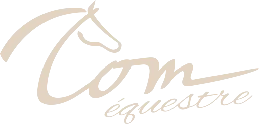 Com Équestre : Agence de Marketing Digital