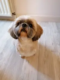 Aux Mille et Une Pattes