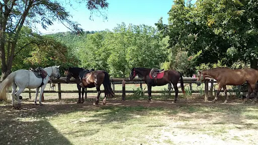 Les Écuries de Seuzac