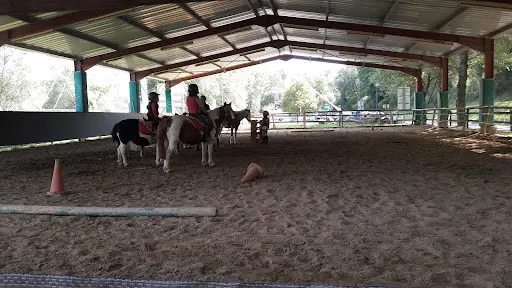 Cheval Détente des Berges du Gave