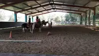Cheval Détente des Berges du Gave