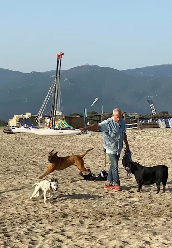 Club Canin Aoc