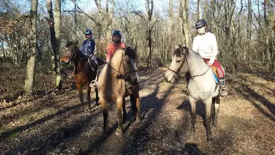 Balade À Cheval et Poney 31