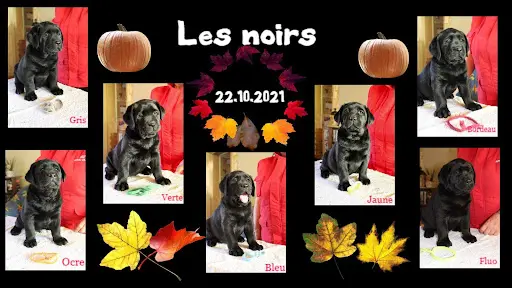 Du Labramour d'Othys
