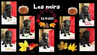 Du Labramour d'Othys