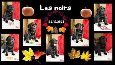 Du Labramour d'Othys
