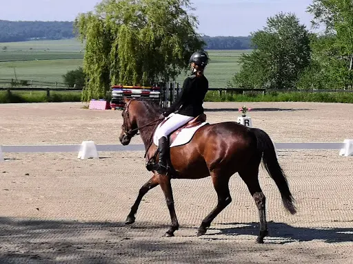 Les Ecuries de la Taulette