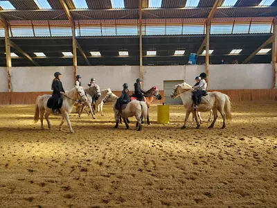 Domaine Equestre de la Castelle Centre Équestre Poney Club Montpellier