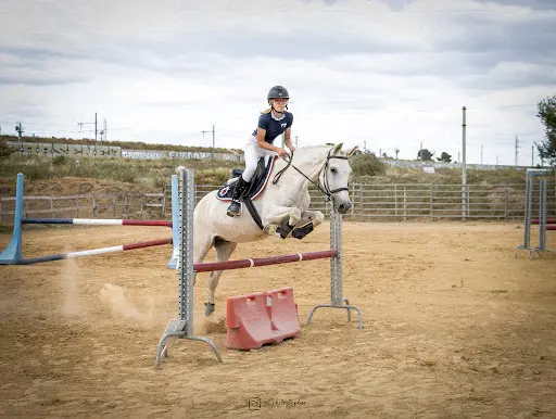 Haras