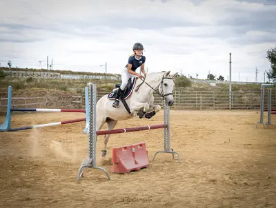 Haras