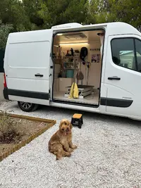 l'Arche de Romy - Toiletteuse Canin et Félin Itinérante