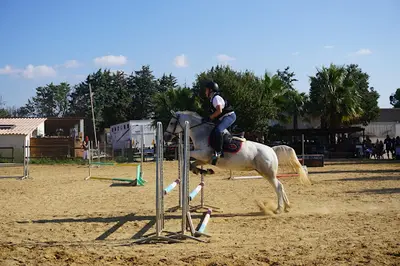 Poney Club d'Axelle