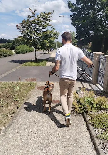 Megane Singery - Comportementaliste Animalier & Éducation Canine Ardennes (08)
