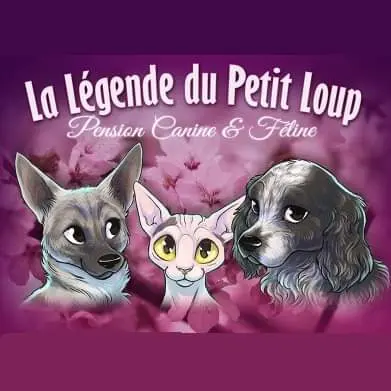 La Legende du Petit Loup