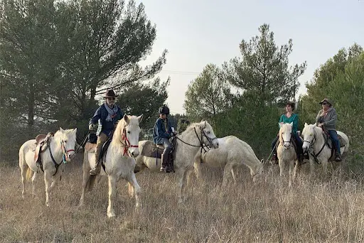 Le Sud À Cheval - Randos À Cheval Provence Luberon Lauris