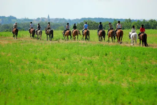 Domaine Equestre de Lauzerte