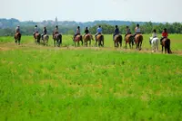 Domaine Equestre de Lauzerte