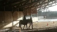 Centre Equestre de Laval