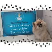 Chez Ouaf Toutou