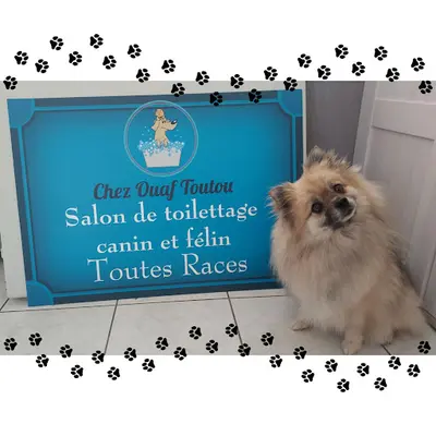 Chez Ouaf Toutou