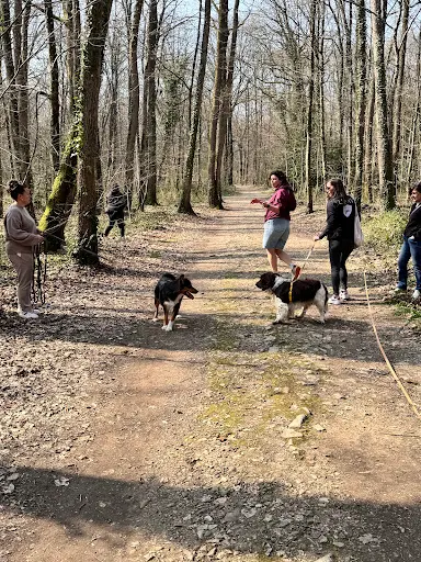 Edu Karmel - Educateur Comportementaliste Canin et Félin