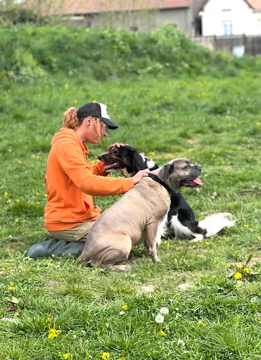 Dog S Family - Éducation et Rééducation Canine