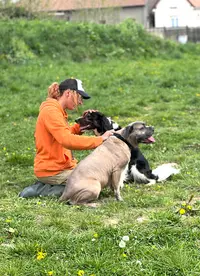 Dog S Family - Éducation et Rééducation Canine