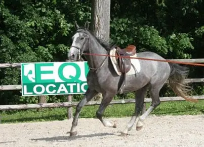 Equi-location