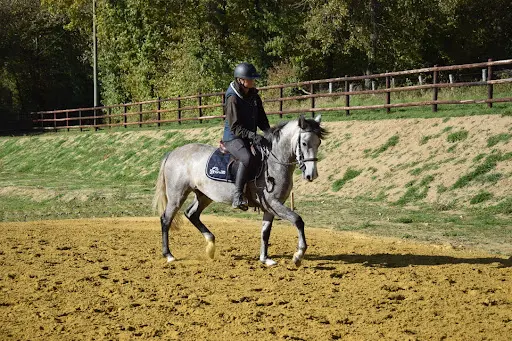 Equi-loisirs