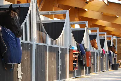 Haras de l'Ermitage