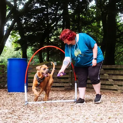 Cani Laz - École d'Éducation Canine Bienveillante