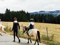 Ecurie Horse Mountain