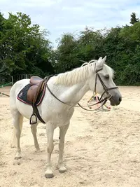 Espace Equestre du Bec Hellouin