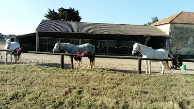 Haras des Evières