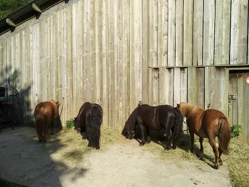 Ferme le Chiblin