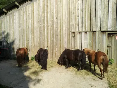 Ferme le Chiblin