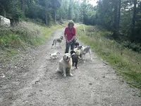 Pension Canine Chez Sophie